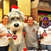 Whiskers in Wonderland Brings Holiday Joy